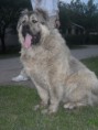 /album/kepgaleria-ivan/ivan-2011-16-jpg2/
